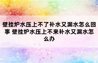 壁挂炉水压上不了补水又漏水怎么回事 壁挂炉水压上不来补水又漏水怎么办